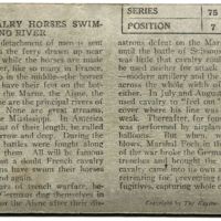French Cavalry horses swimming river