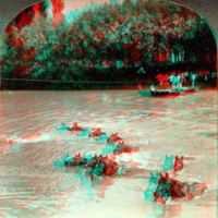 French Cavalry horses swimming river